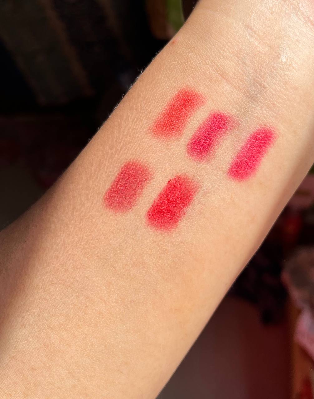 Cola castle bow box ( 5 pcs )