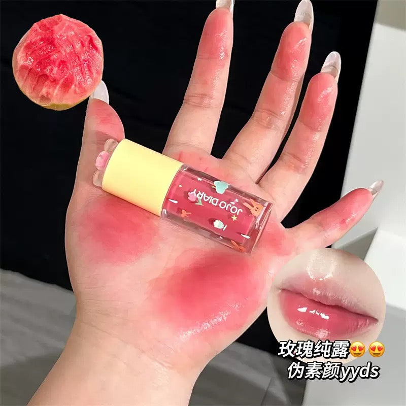 A Jojo diary flower lip glaze