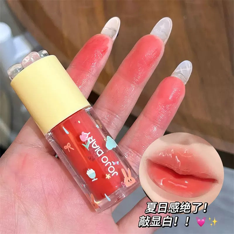 A Jojo diary flower lip glaze